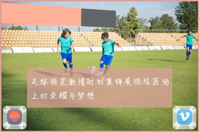 足球明星激情时刻集锦展现绿茵场上的荣耀与梦想
