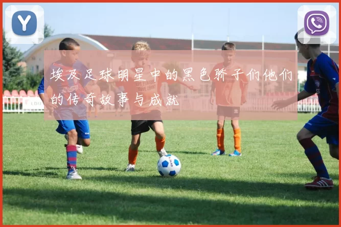埃及足球明星中的黑色骄子们他们的传奇故事与成就