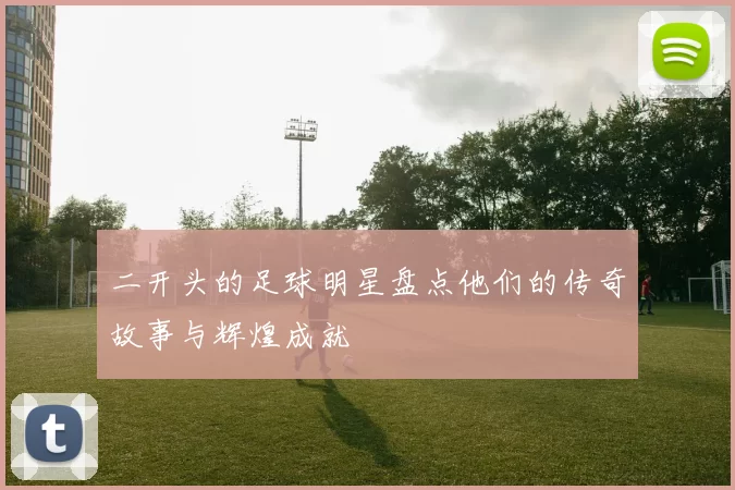 二开头的足球明星盘点他们的传奇故事与辉煌成就