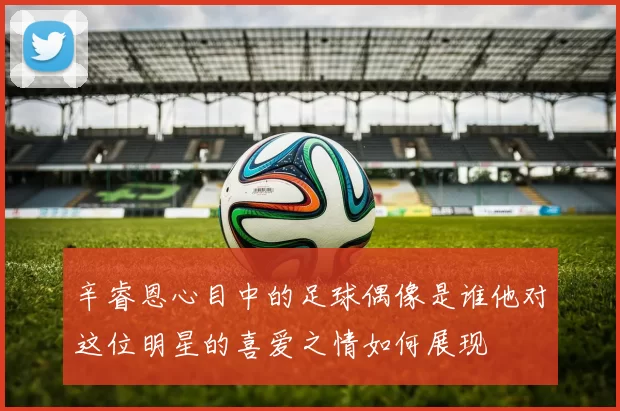 辛睿恩心目中的足球偶像是谁他对这位明星的喜爱之情如何展现