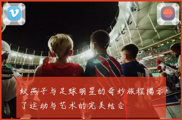 纹燕子与足球明星的奇妙旅程揭示了运动与艺术的完美结合