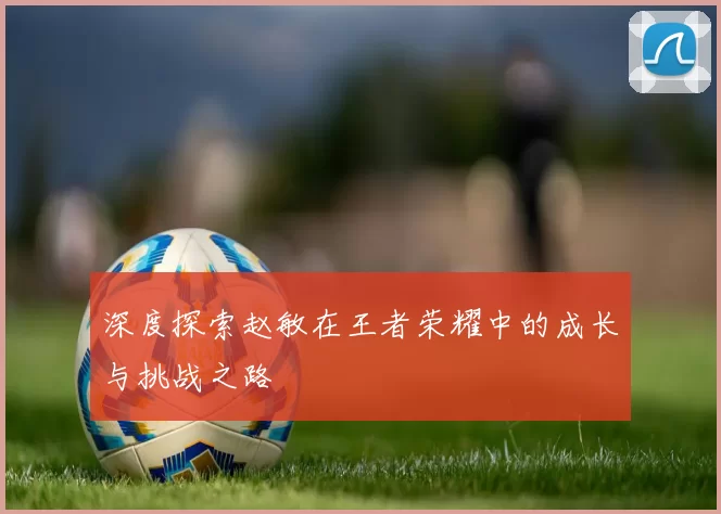 深度探索赵敏在王者荣耀中的成长与挑战之路