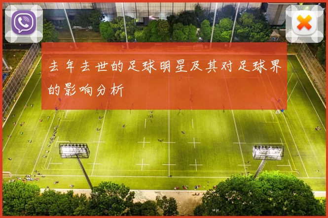 去年去世的足球明星及其对足球界的影响分析