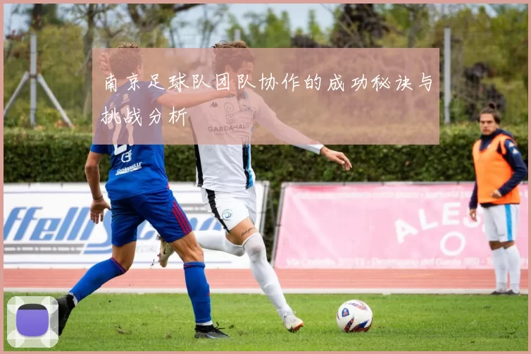南京足球队团队协作的成功秘诀与挑战分析