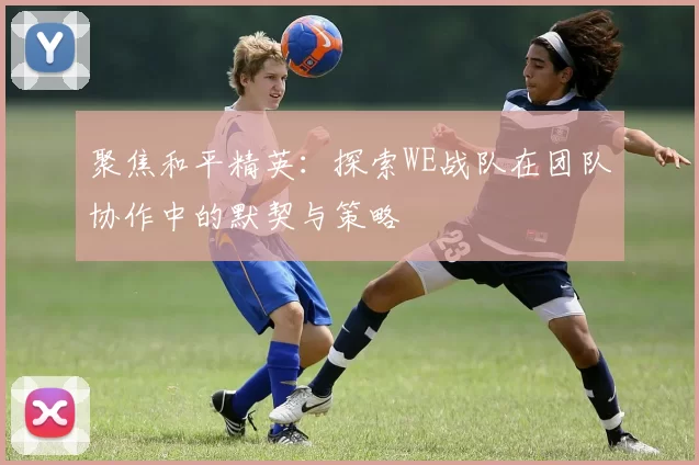聚焦和平精英：探索WE战队在团队协作中的默契与策略