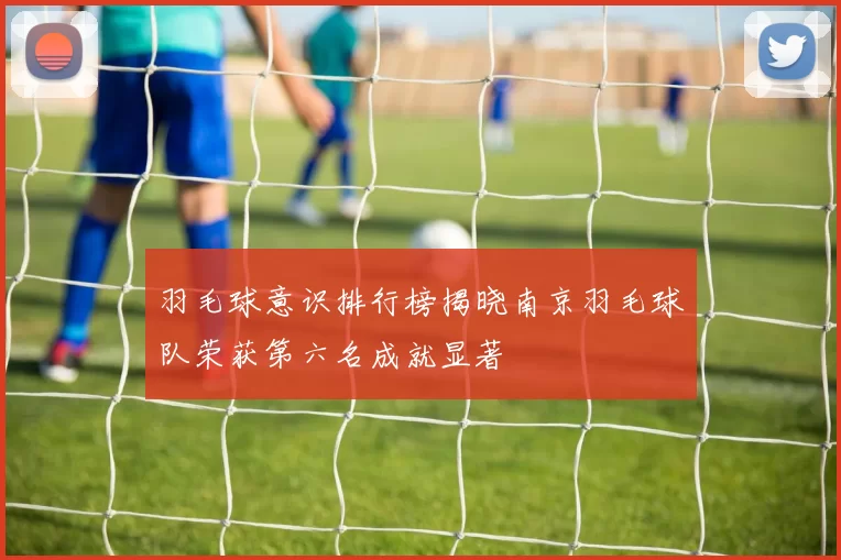 羽毛球意识排行榜揭晓南京羽毛球队荣获第六名成就显著