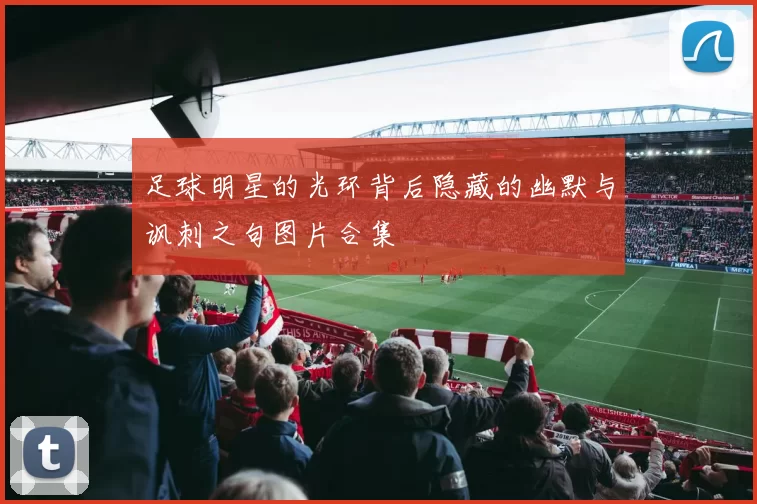 足球明星的光环背后隐藏的幽默与讽刺之句图片合集