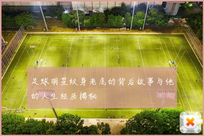 足球明星纹身老虎的背后故事与他的人生经历揭秘