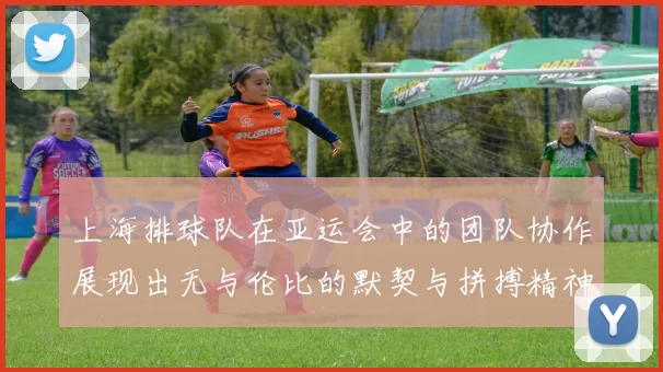 上海排球队在亚运会中的团队协作展现出无与伦比的默契与拼搏精神