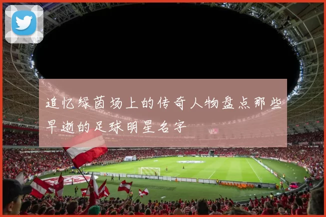 追忆绿茵场上的传奇人物盘点那些早逝的足球明星名字