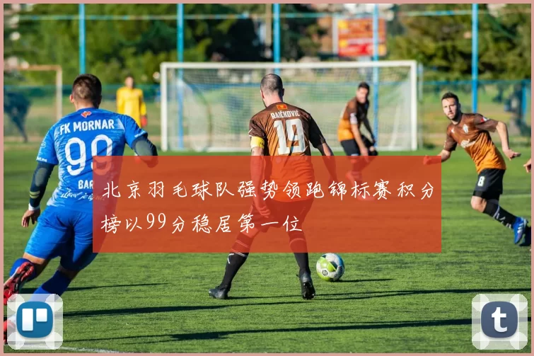 北京羽毛球队强势领跑锦标赛积分榜以99分稳居第一位