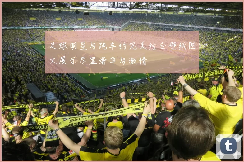 足球明星与跑车的完美结合壁纸图文展示尽显奢华与激情