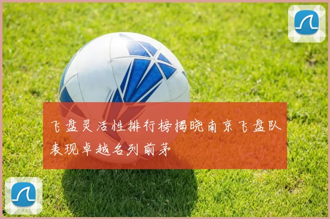 飞盘灵活性排行榜揭晓南京飞盘队表现卓越名列前茅