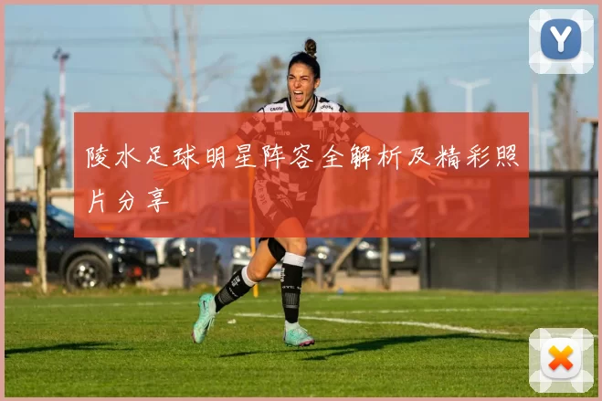 陵水足球明星阵容全解析及精彩照片分享