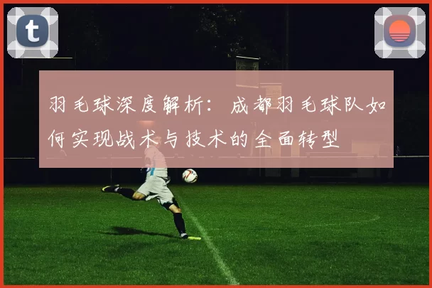 羽毛球深度解析：成都羽毛球队如何实现战术与技术的全面转型