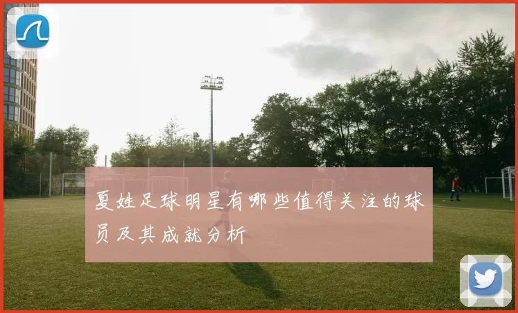 夏姓足球明星有哪些值得关注的球员及其成就分析