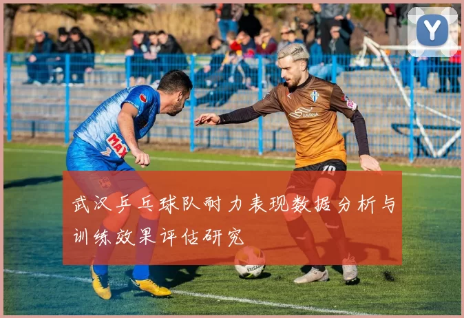 武汉乒乓球队耐力表现数据分析与训练效果评估研究