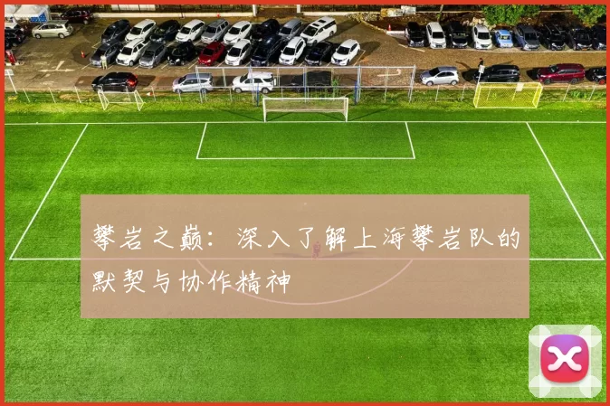 攀岩之巅：深入了解上海攀岩队的默契与协作精神