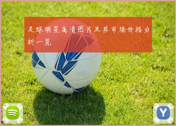 足球明星高清图片及其市场价格分析一览