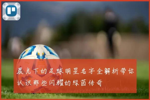 晨光下的足球明星名字全解析带你认识那些闪耀的绿茵传奇