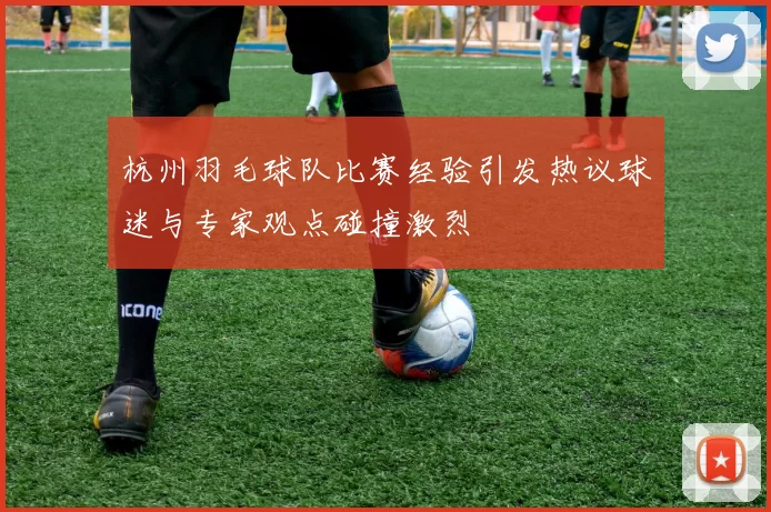 杭州羽毛球队比赛经验引发热议球迷与专家观点碰撞激烈