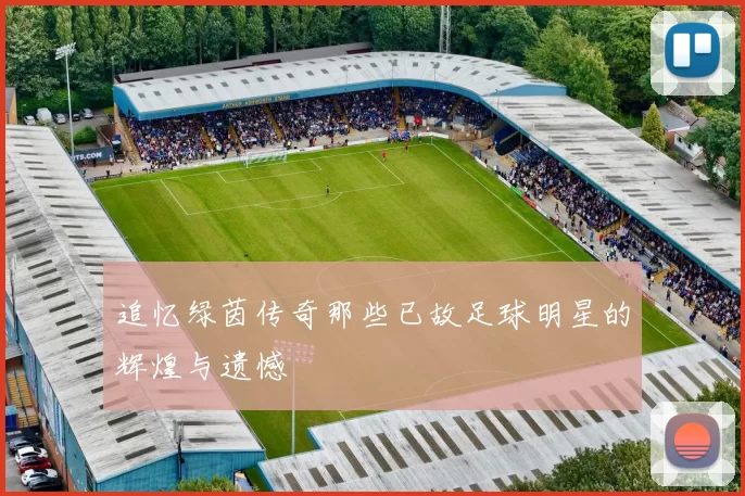 追忆绿茵传奇那些已故足球明星的辉煌与遗憾