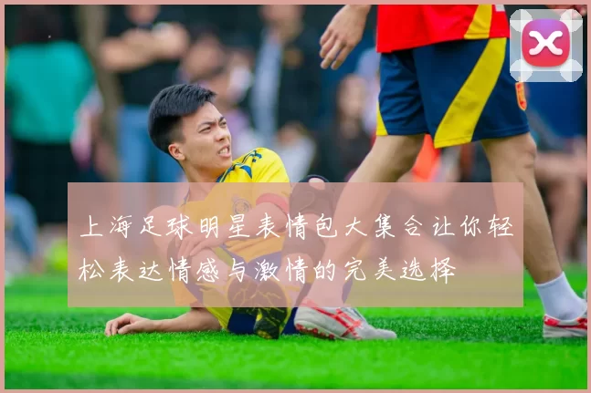 上海足球明星表情包大集合让你轻松表达情感与激情的完美选择