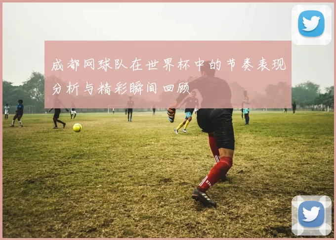 成都网球队在世界杯中的节奏表现分析与精彩瞬间回顾