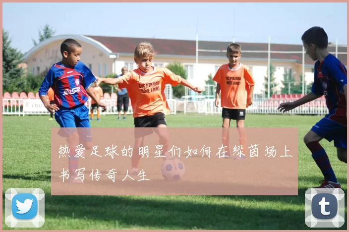 热爱足球的明星们如何在绿茵场上书写传奇人生